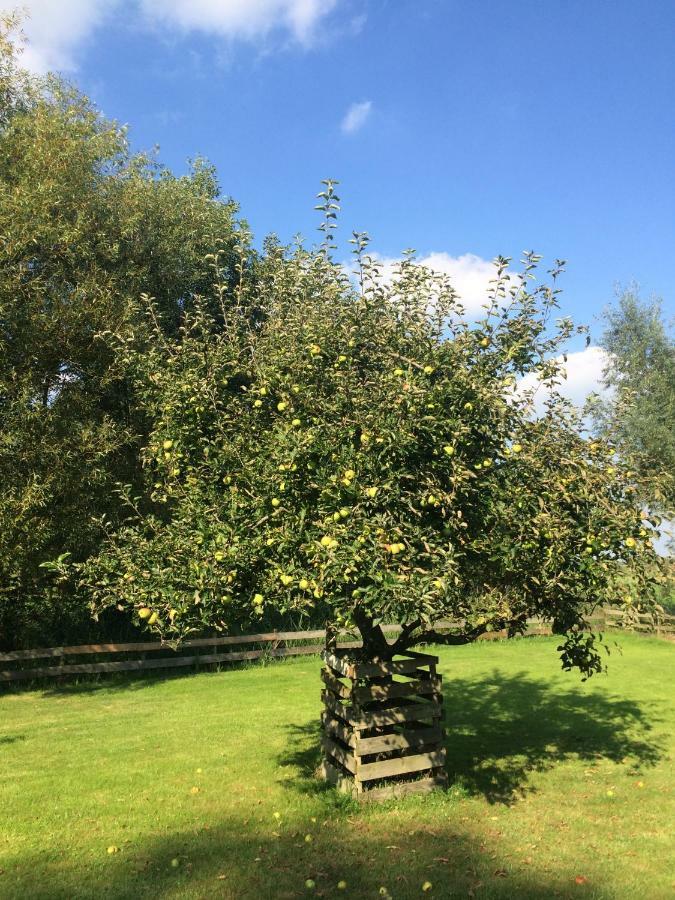 The Black Sheep Hostel Giethoorn Esterno foto